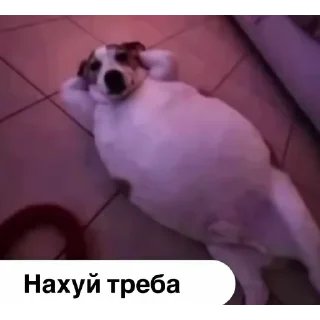 Telegram sticker 🙂 замість тисячі слів