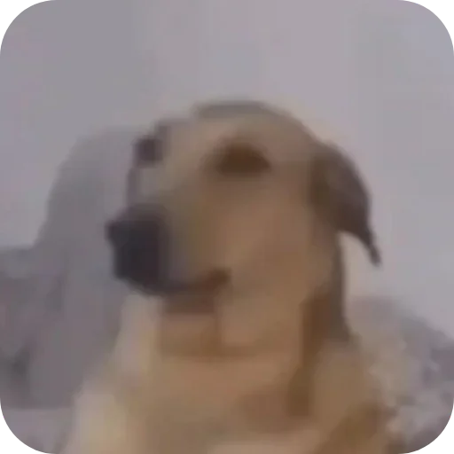 Sticker 🤲 @iMDeW اعظم قناة