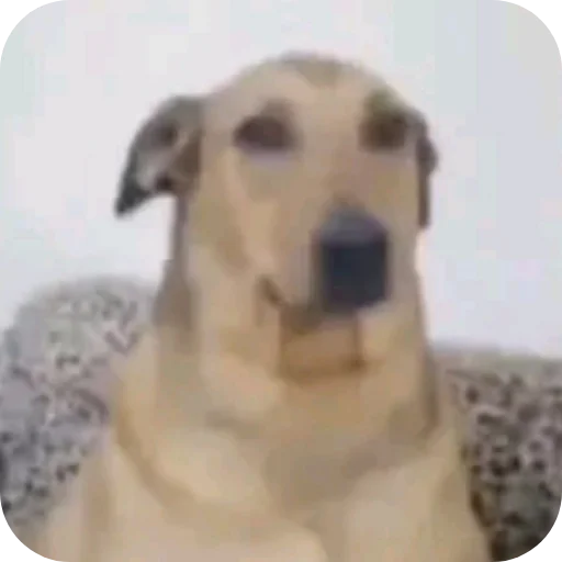 Telegram sticker 🧸 @iMDeW اعظم قناة