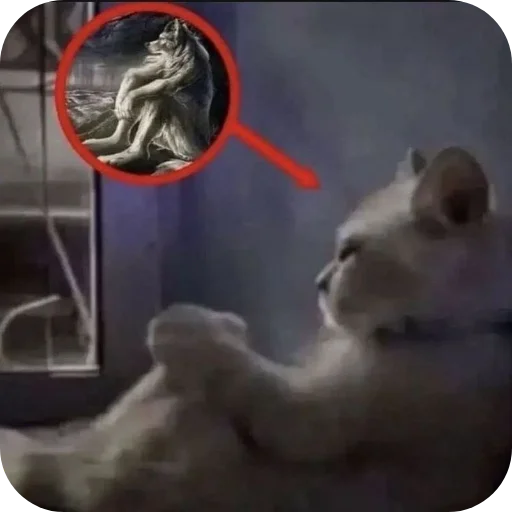 Telegram sticker 🥶 @iMDeW اعظم قناة