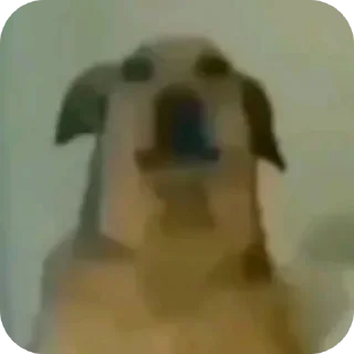 Video sticker 🤲 @iMDeW اعظم قناة