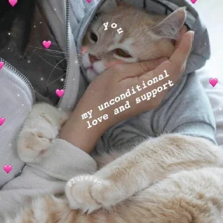 Telegram sticker 💖 Meow (=ↀωↀ=)✧ (@StellarCats_Meow)