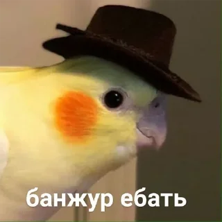 Telegram sticker 👋 @s_paretskaya не договорила