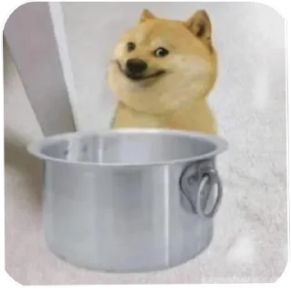 Video sticker 🐶 @chowv Random 3