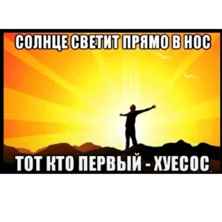 Video sticker 🫥 Асик