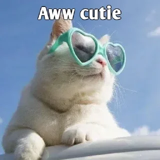 Video sticker 😎 Flirting