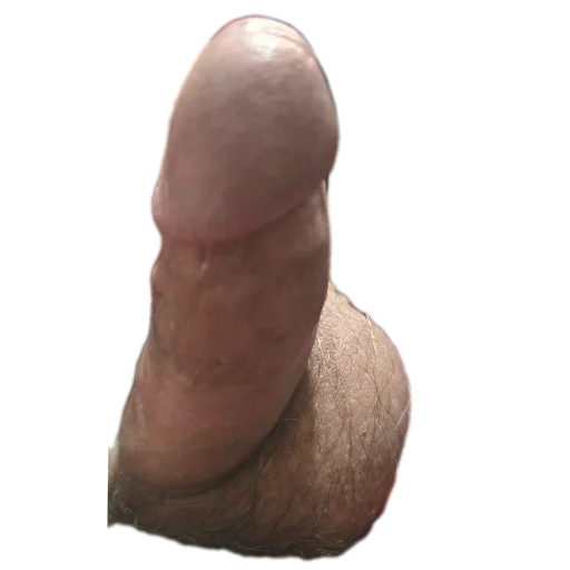 Telegram sticker 🍖 K & B