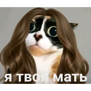 Video sticker 🥺 Больше стиков тут: @stikery4