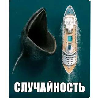 Video sticker 👎 пупупу