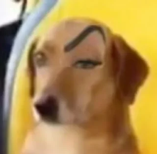 Telegram stiker 🤔 @juaombn's