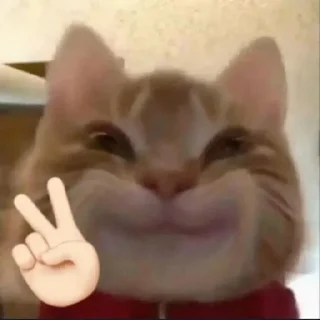 Video sticker ☺️ Harunala's @Jungkoogk :: @fStikBot