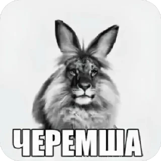 Video sticker 🥵 леркин наборчик