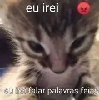 Video sticker 😡 Cu do mágico :: @fStikBot