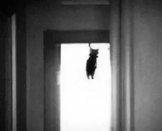 Telegram sticker ☠️ friendly suicide sticker pack