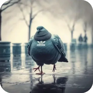 Sticker 🐦 Саламалекум