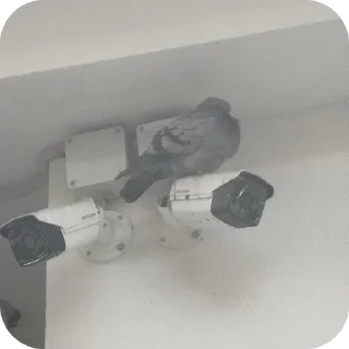 Video sticker 👍 Саламалекум