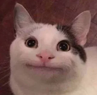 Telegram sticker 🙃 𝔸𝕕𝕚𝕥𝕪α 𝕍α𝕤𝕙𝕚𝕤𝕥𝕙's Favorites