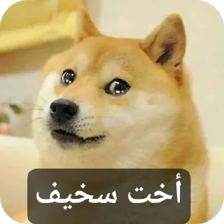 Sticker 🥺 SYBAU