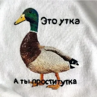 Video sticker 🦆 Наташкины :: @fStikBot