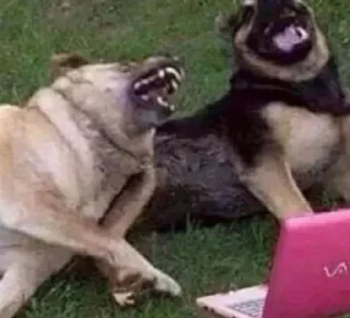 Video sticker 🤣 Наташкины :: @fStikBot