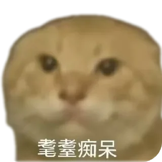 Telegram sticker 👄 耄耋表情包整合版ox :: @fStikBot