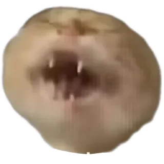 Telegram sticker 👄 耄耋表情包整合版ox :: @fStikBot