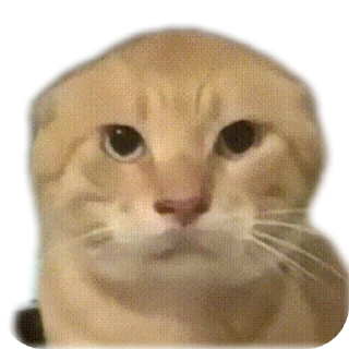 Sticker 👍 耄耋表情包整合版ox :: @fStikBot