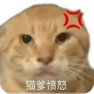 Telegram sticker 🐱 耄耋表情包整合版ox :: @fStikBot