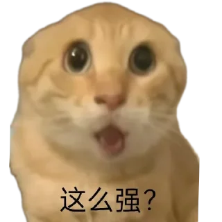 Video sticker 🐱 耄耋表情包整合版ox :: @fStikBot