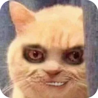 Telegram sticker 🤲 Mnshsh