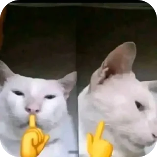 Telegram sticker 🐱 Mnshsh