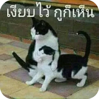 Telegram sticker 👍 Mnshsh