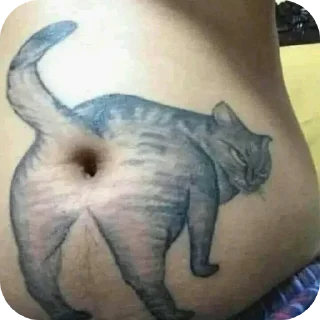 Telegram sticker 🐦 Mnshsh