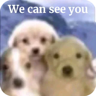 Video sticker 😐 FUK U (CORNY)