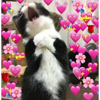 Telegram sticker 💞 Fvck_JJ - by @infojj