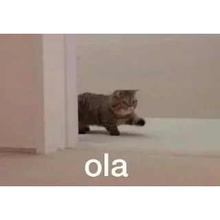 Telegram sticker 🐱 ZacK Steal Pack