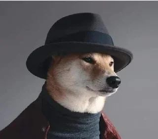 Video sticker 🤔 ZacK Steal Pack