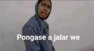 Video sticker 🤔 ZacK Steal Pack