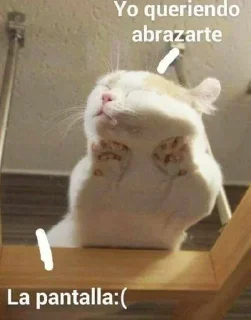 Telegram sticker 💖 ZacK Steal Pack