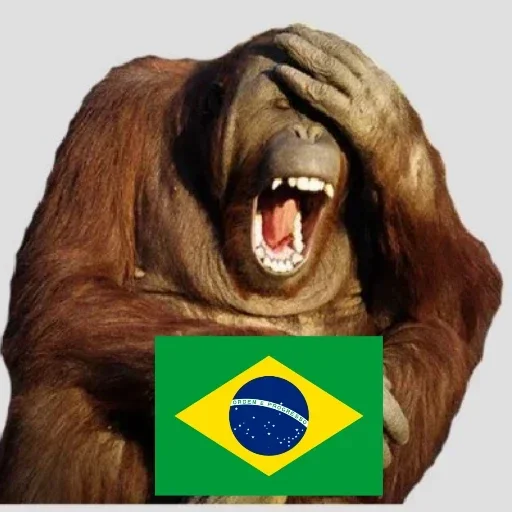 Telegram sticker 🐵 kkkkkkk