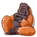 Telegram sticker 👋 @Survival_ofthe_fittest's_1 (Animated)