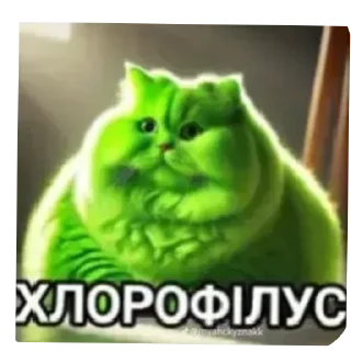 Telegram sticker 🤙 Піпідастр @pisuncik228
