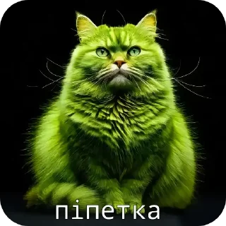 Video sticker 🤙 Піпідастр @pisuncik228