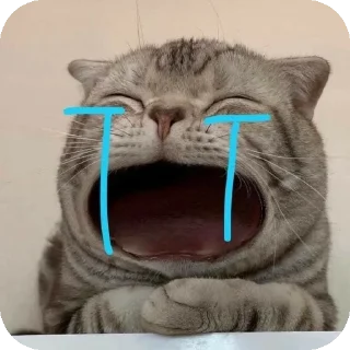 Telegram stiker 😭 Mg Kevin sticker😺