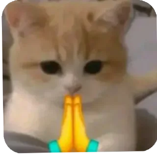 Telegram stiker 🙏 Mg Kevin sticker😺