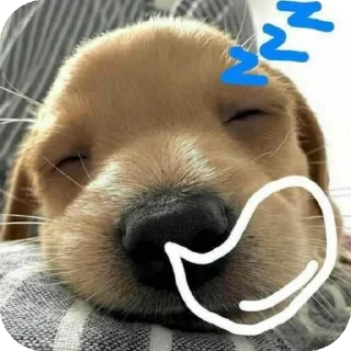 Video sticker 😴 Mg Kevin sticker😺