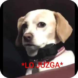 Telegram sticker 🐶 De los good @antonig219