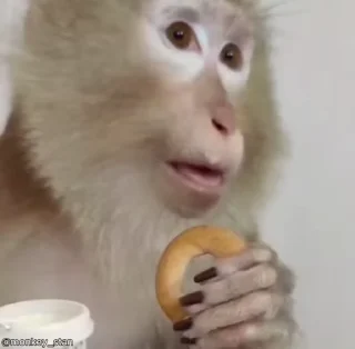 Video sticker 🌟 лола от 👉🏻 @monkey_stan