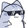 Video sticker 😎 cybercats
