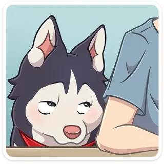 Video sticker 🐺 Лаки от @TgSticker